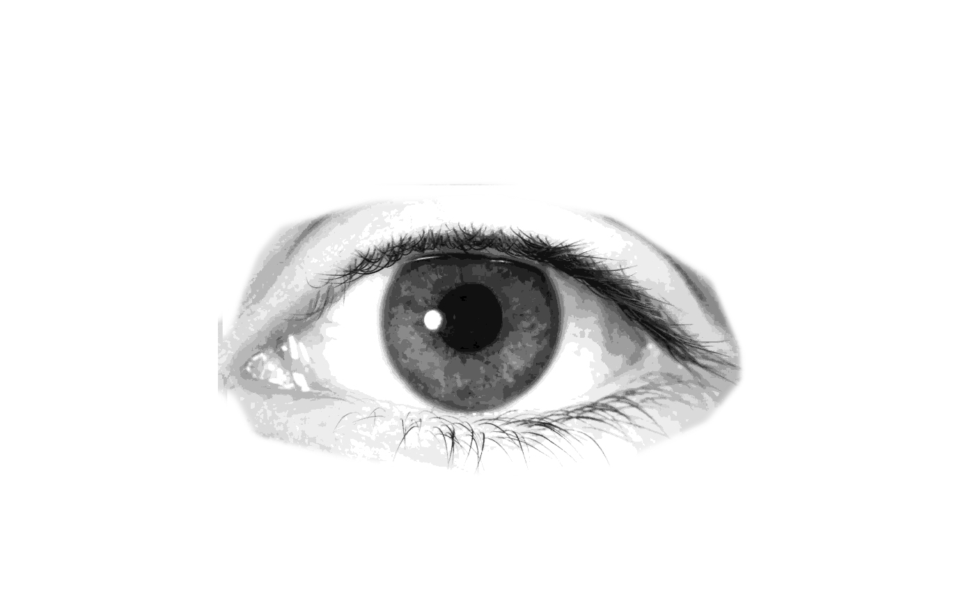 a small image of a black and white eyeball. END ID